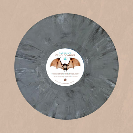 Echolocation // Batsauce