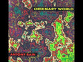 Ordinary World // Antony Rain